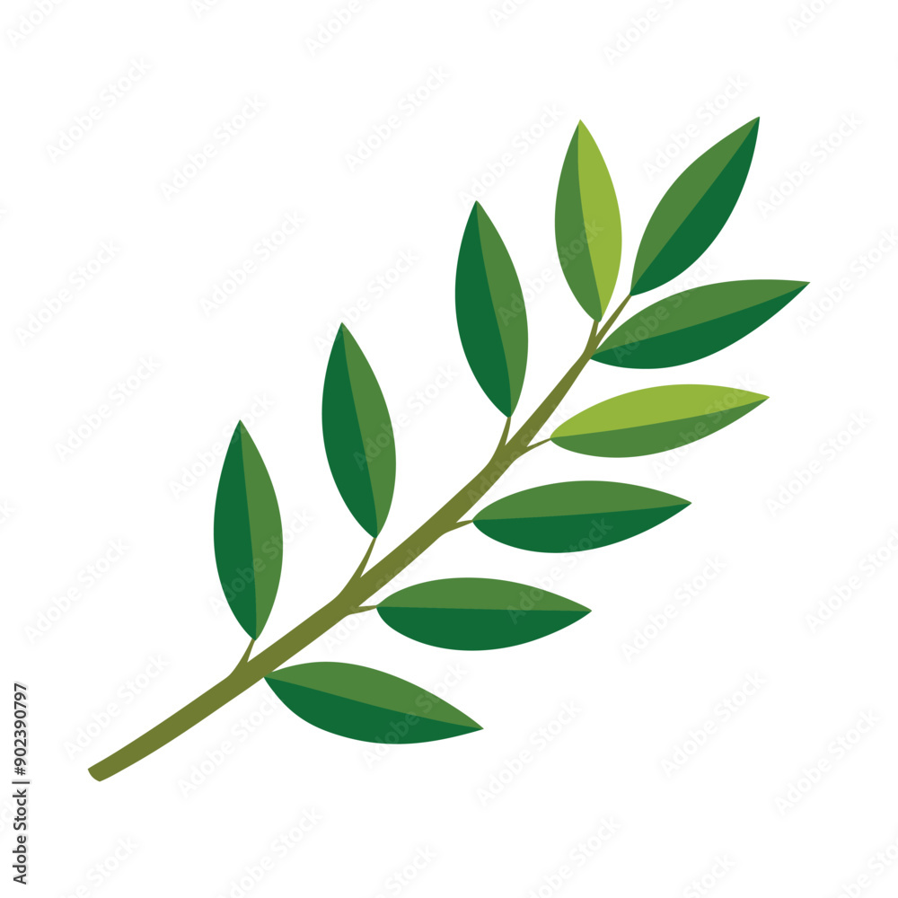 Fototapeta premium Illustration of olive leaf on white
