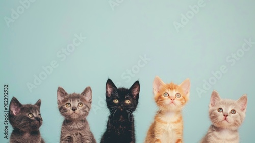 Five playful kittens of various colors sit attentively in a row, showcasing their individual personalities