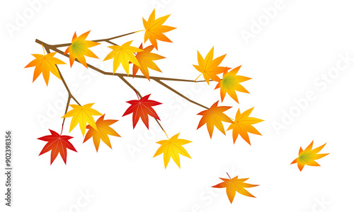 紅葉したモミジのイラスト