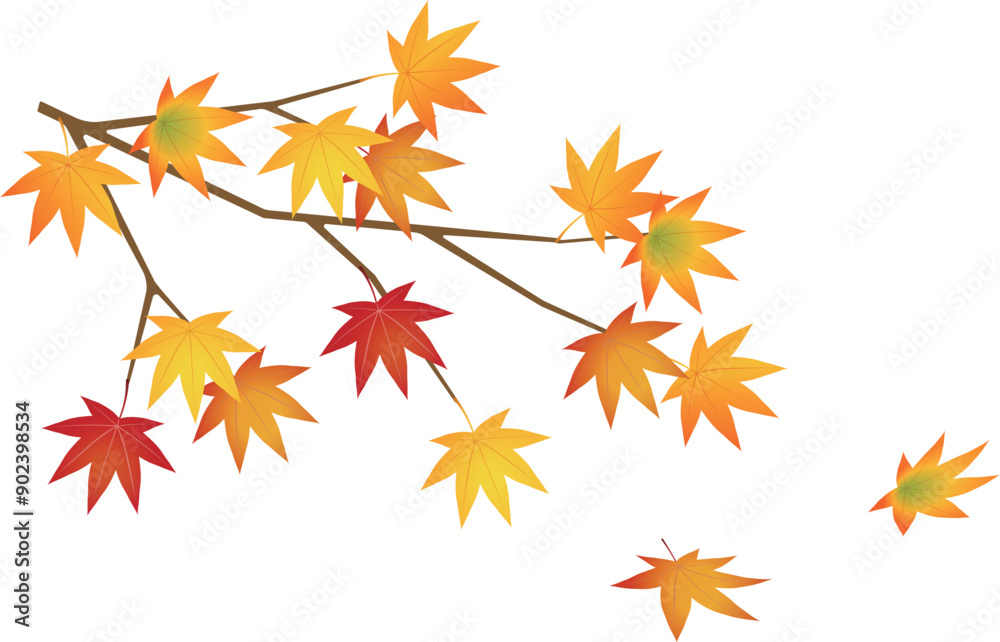 紅葉したモミジのイラスト