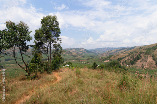 Fototapeta Naklejka Na Ścianę i Meble -  Landscape across southwestern uganda