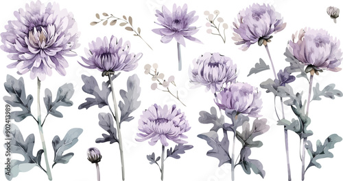 Watercolor Painting of a Elegant Bouquet of Purple Chrysanthemums on a White Background, Includes Ample Space for Text Placement, Ideal for Invitations, Greeting Cards, and Floral Design Projects