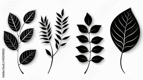 A sleek set of leaf icons, perfect for enhancing your design projects with natural elements, available in black on white. photo