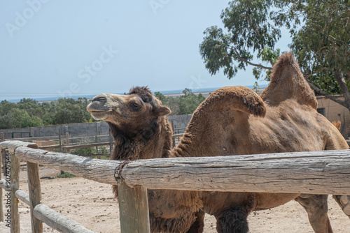 My trip to Tunisia - Friguia Park