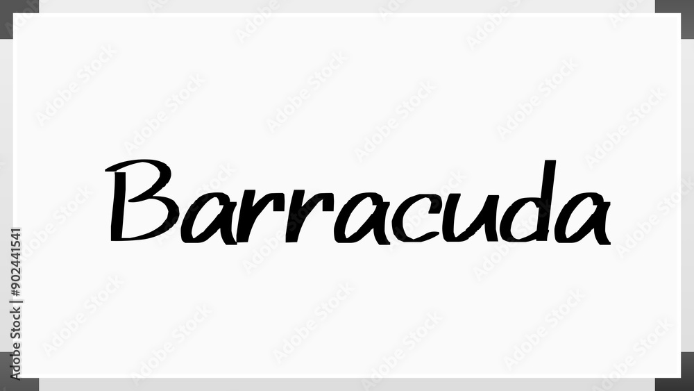 Barracuda のホワイトボード風イラスト Barracuda のホワイトボード風イラスト