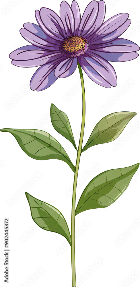 Purple flower bloom Purple flower bloom