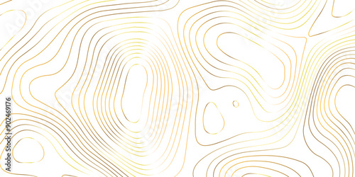 Topography golden wave line contour map background design. white background and golden line background. modern design Imitation geographical map vector illustration. photo