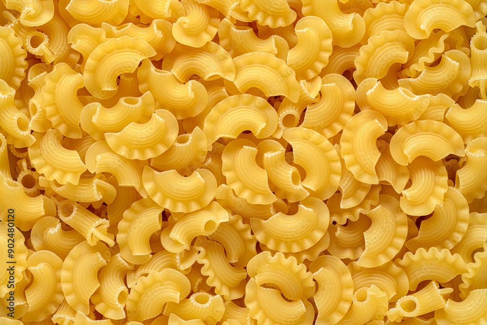 Creste di gallo pasta spread out on a textured surface or background. Creste di gallo pasta spread out on a textured surface or background.