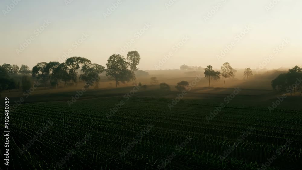 A field of green grass with trees in the background. The sky is a light blue color