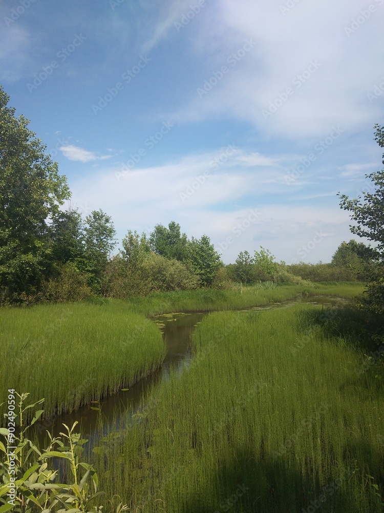 Fototapeta premium nature, river, lake, water, sky, clouds
