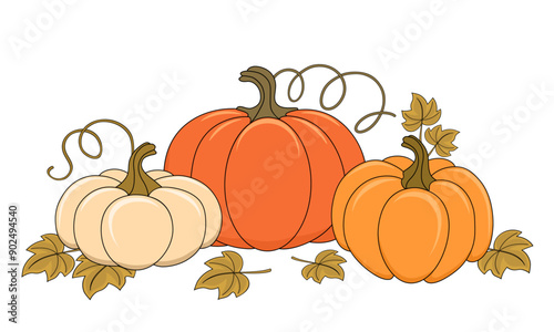 Ripe whole pumpkins flat vector illustration, decorative elements for design, autumn harvest and gardening concept.