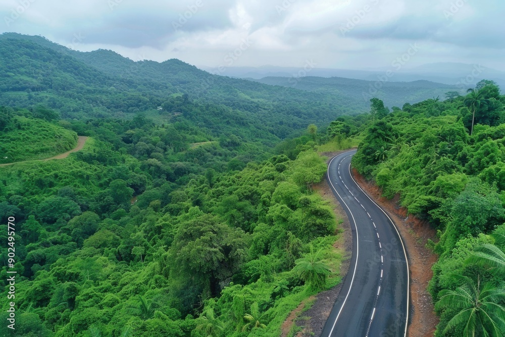 Aerial image of a road surrounded by trees, potentially used for travel or nature-related purposes Aerial image of a road surrounded by trees, potentially used for travel or nature-related purposes
