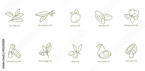 Comprehensive Essential Oils Vector Icons: Tea Tree, Eucalyptus, Lemon, Almond, Grape Seed, Sandalwood, Kale Seed, Olive, Avocado, Coconut