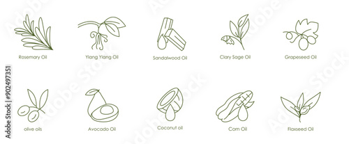 Herbal and Nourishing Oils Vector Icons: Rosemary, Ylang Ylang, Sandalwood, Clary Sage, Grape Seed, Olive, Avocado, Coconut, Corn, Flaxseed