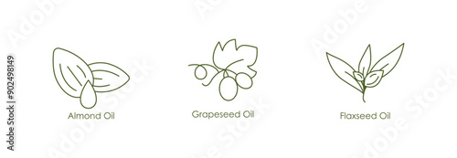 Versatile Oils Vector Icons: Almond, Grape Seed, Tea Tree, Avocado, Coconut, Corn, Flaxseed, Canola