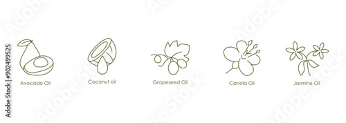 Diverse Oils Vector Icons: Avocado, Coconut, Grape Seed, Canola, Jasmine