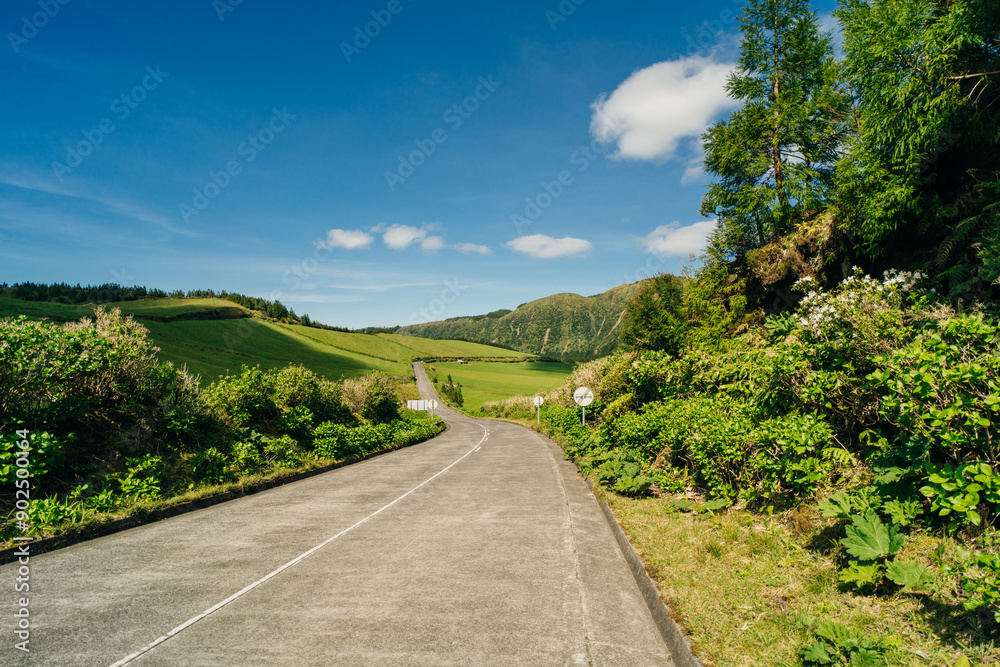 Naklejka premium Azores - road to Sete Cidades, green landscape in Portugal, San Miguel