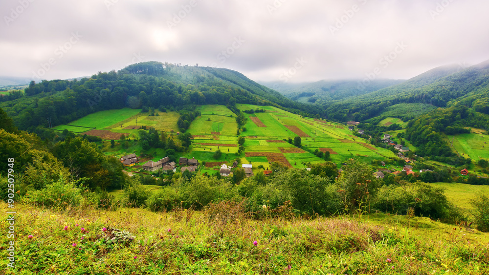 Naklejka premium mountainous countryside landscape in autumn. grassy meadow on a hill. village in the distant valley. rural scenery. rainy weather with cloudy sky. carpathian suburb of ukraine