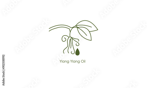 Revitalizing ylang ylang Oil Vector Icon