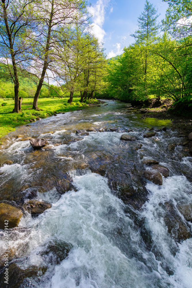 landscape with mountains, forest and a river in front. beautiful scenery in summer landscape with mountains, forest and a river in front. beautiful scenery in summer