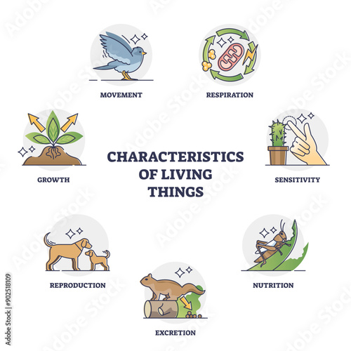 Characteristics of living things or their recognition groups outline diagram, transparent background. Labeled educational division categories by respiration, sensitivity, excretion, reproduction.