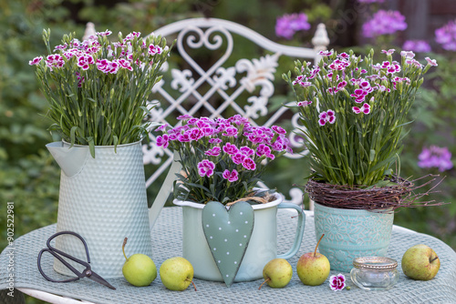 Garten-Arrangement mit pink Garten-Nelken (Dianthus-Hybride) in vintage Gefäßen photo