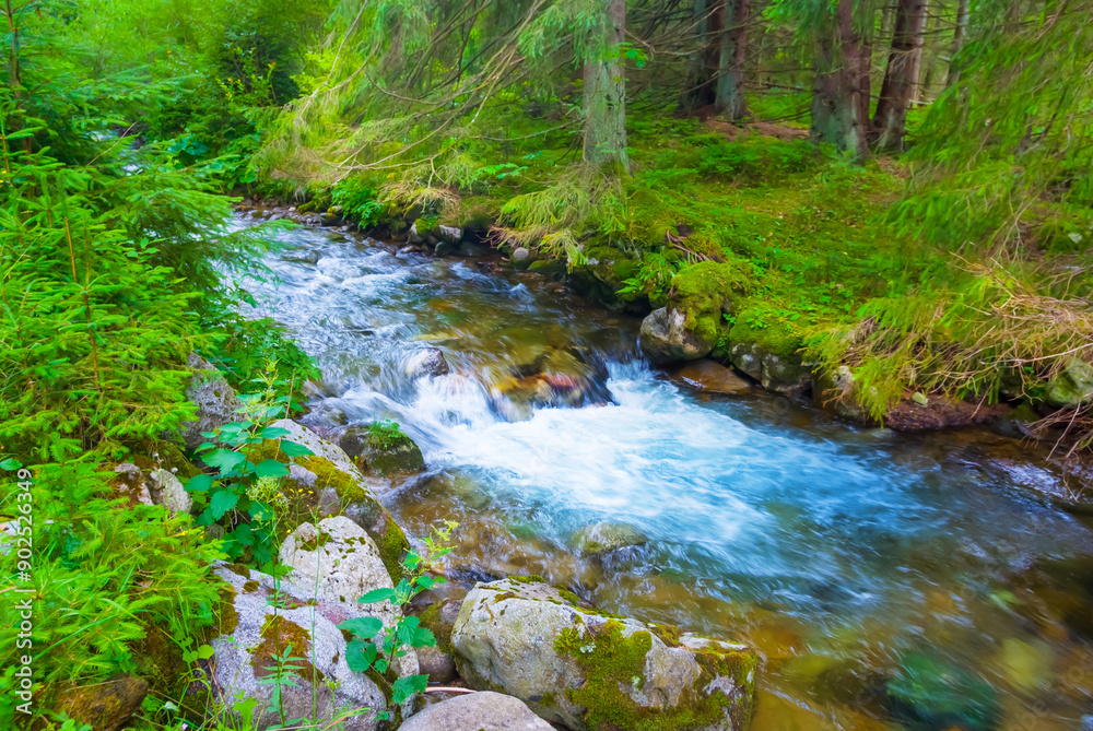 river rushing through mountain canyon with forest river rushing through mountain canyon with forest