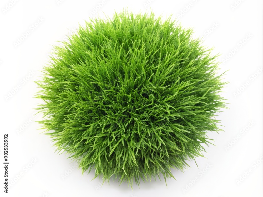 Rectangle square patch or island of green grass isolated on white background flat lay top view from above, spring or eco concept template element, Generative AI Rectangle square patch or island of green grass isolated on white background flat lay top view from above, spring or eco concept template element, Generative AI
