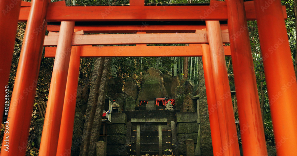 Nature, forest and Torii gate monument in Kyoto with peace, mindfulness and travel with spiritual history. Architecture, Japanese culture and Shinto shrine in woods with sculpture, memorial and trees Nature, forest and Torii gate monument in Kyoto with peace, mindfulness and travel with spiritual history. Architecture, Japanese culture and Shinto shrine in woods with sculpture, memorial and trees