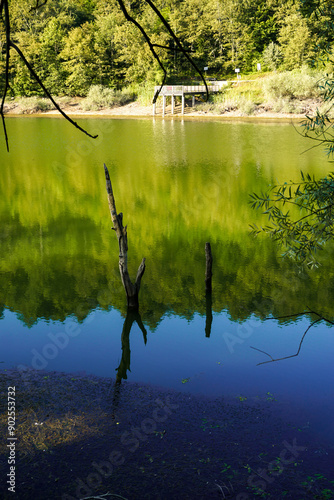 Yenipazar lake in bilecik Turkey in the morning natural beauty photo