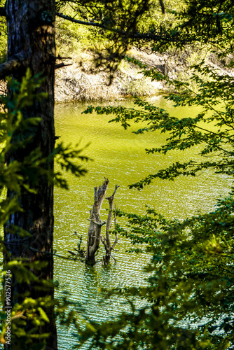 Yenipazar lake in bilecik Turkey in the morning natural beauty photo