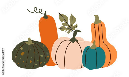 Pumpkins. Autumn composition with pumpkins. Fresh vegetables. Harvesting. Invitation to the Thanksgiving of the autumn season. Vector flat cartoon illustration isolated on the white background.