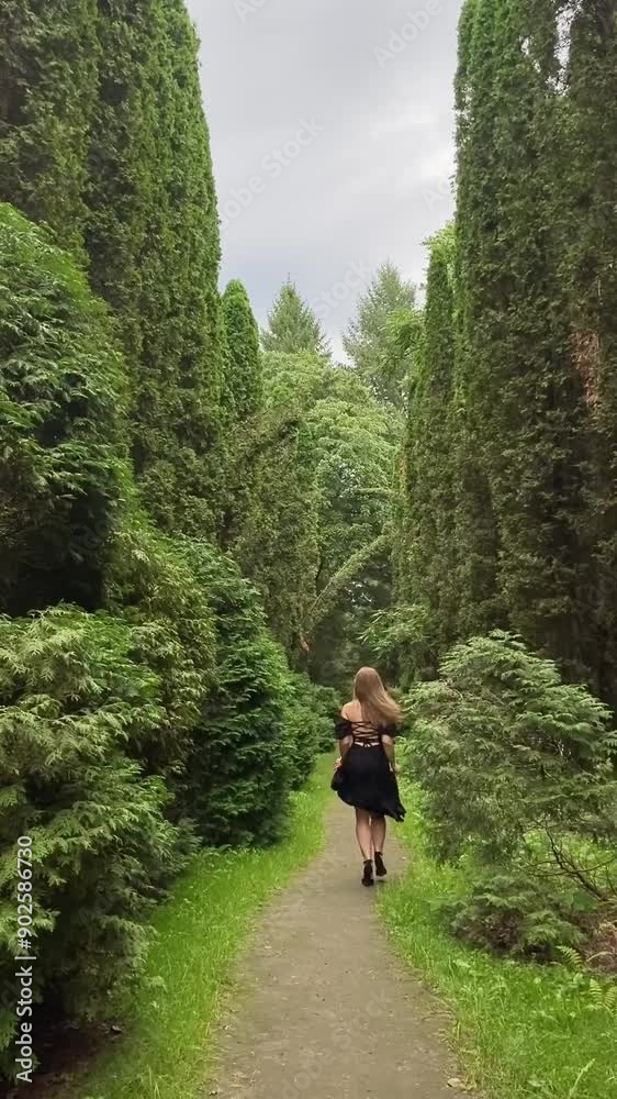 person running in the forest person running in the forest