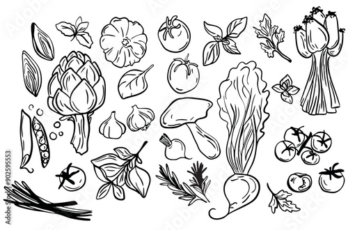 Vector vegetables. Concept halthy cafe. Garden set