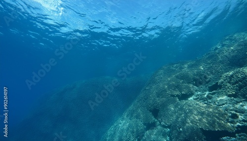 Below the surface of the deep blue sea