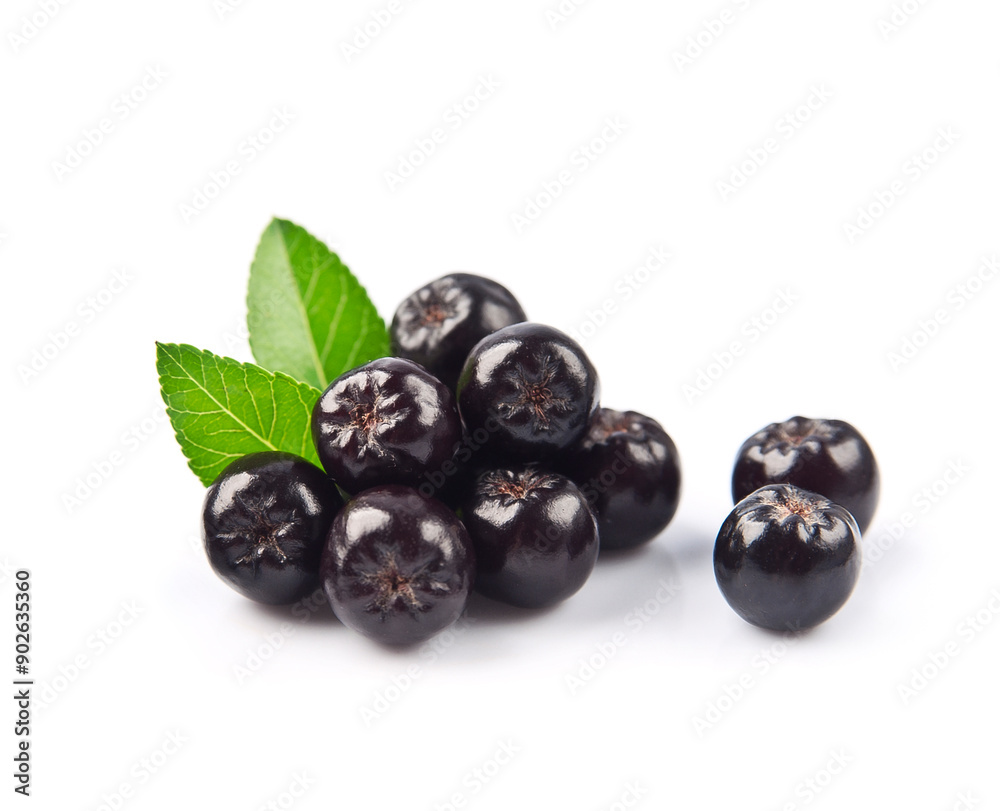 Aronia berries with leaves on white backgrounds Aronia berries with leaves on white backgrounds