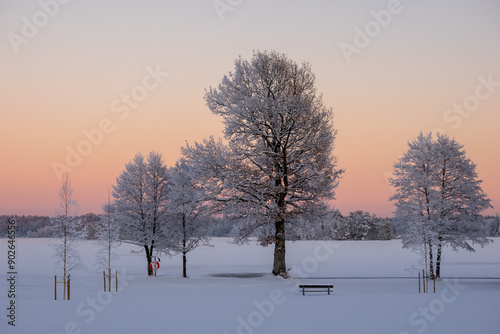 Tranquil winter landscape