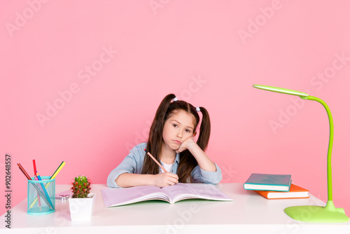 Photo of smart small girl with ponytails dressed denim shirt sit down table write homework in copybook isolated on pink color background