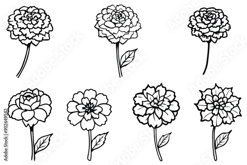 Marigold line art illustration Design Concepts