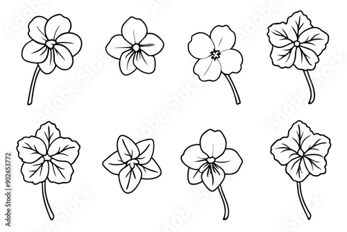 Nasturtium line art illustration Design Concepts