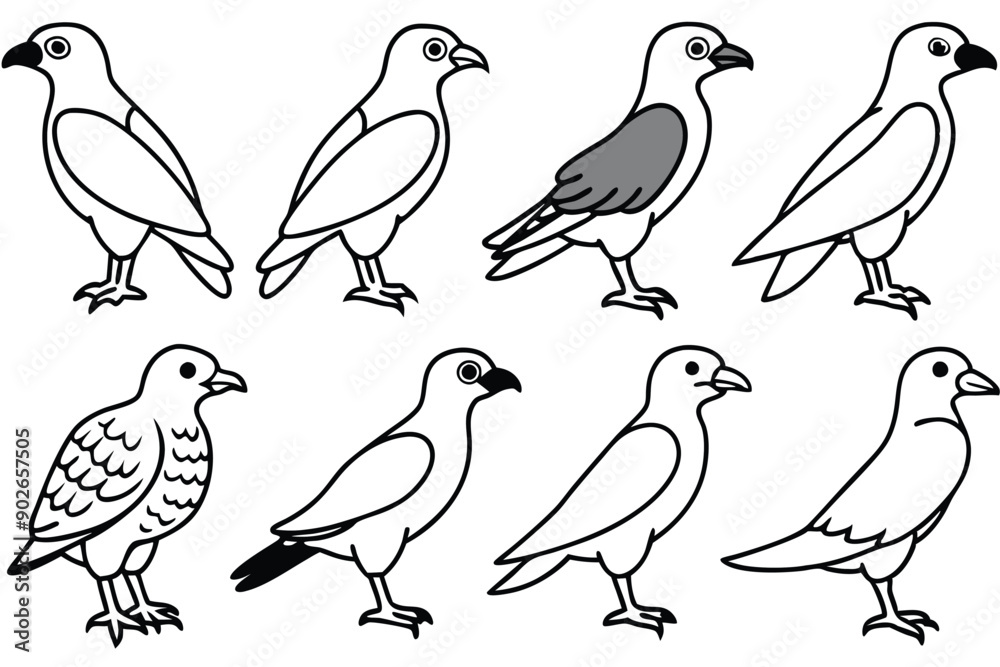 Fototapeta premium Osprey bird line art illustration