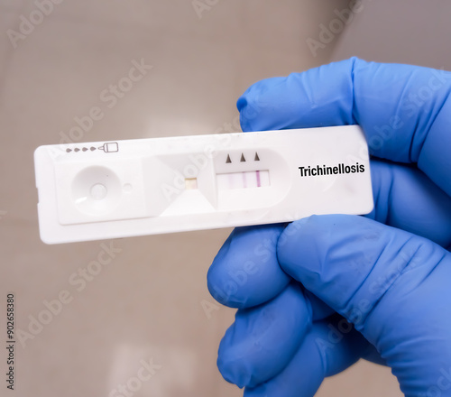 Trichinella rapid test cassette with positive result, Trichinosis. It's a roundworm infection. Trichinellosis. photo