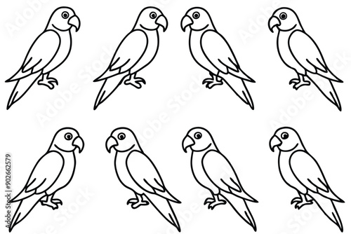 Parrot bird line art illustration