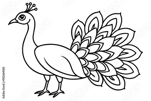 Peacock line art illustration Design Concepts