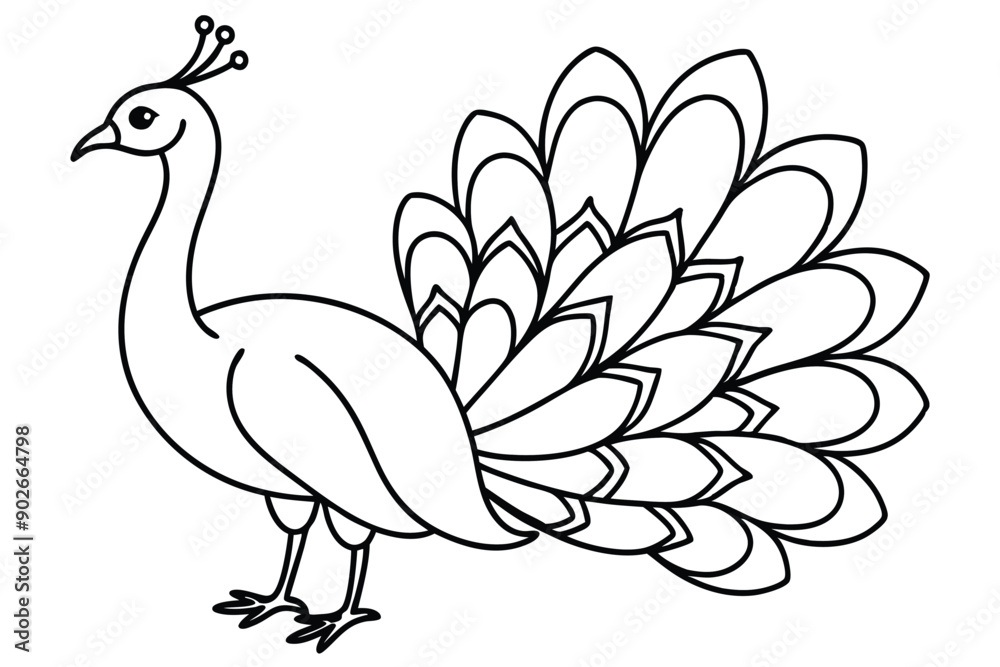 Peacock line art illustration Design Concepts Peacock line art illustration Design Concepts