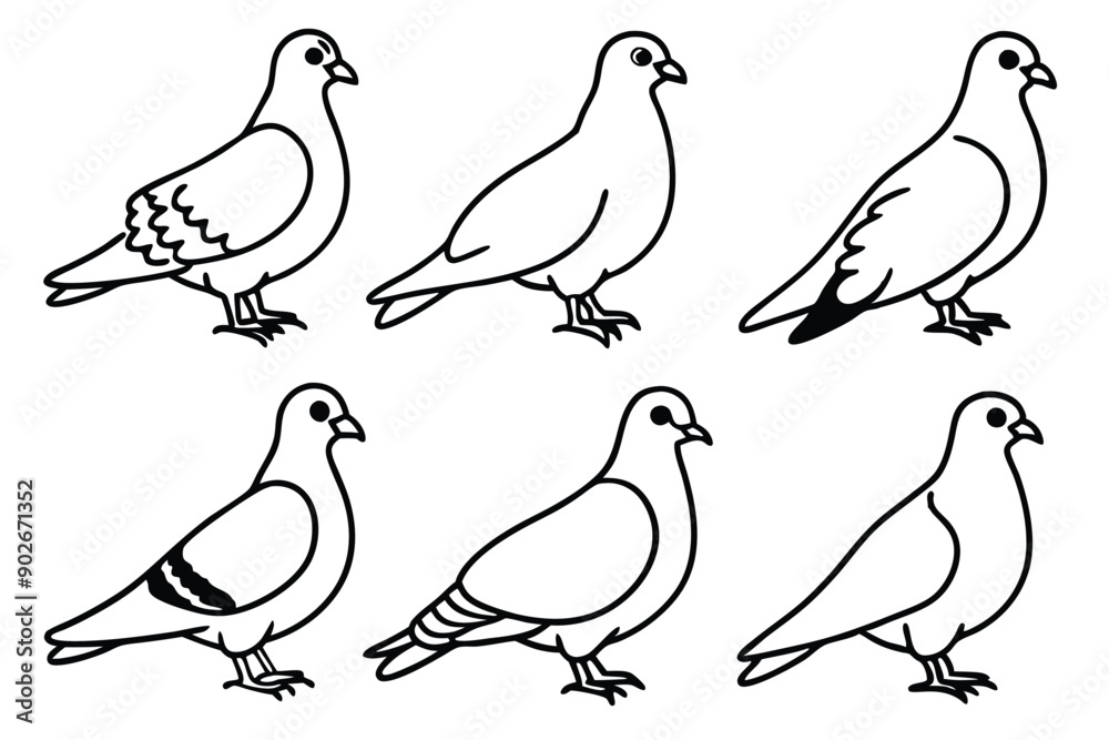 Fototapeta premium Pigeon bird line art illustration