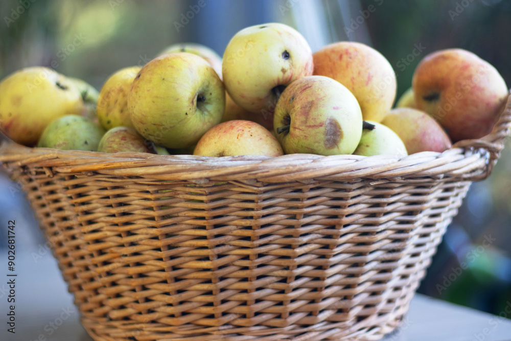 Close up of wicker rustic basket filled with freshly picked apples. Ideal for autumn harvest, organic produce, healthy eating, farm-to-table concepts, food blogs, nutrition articles. Selective focus Close up of wicker rustic basket filled with freshly picked apples. Ideal for autumn harvest, organic produce, healthy eating, farm-to-table concepts, food blogs, nutrition articles. Selective focus