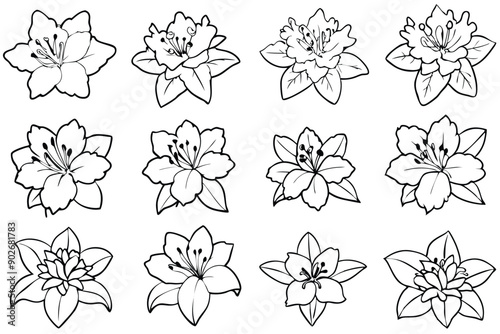 Rhododendron line art illustration Design Concepts