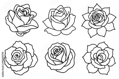 Wallpaper Mural Rose line art illustration Design Concepts Torontodigital.ca