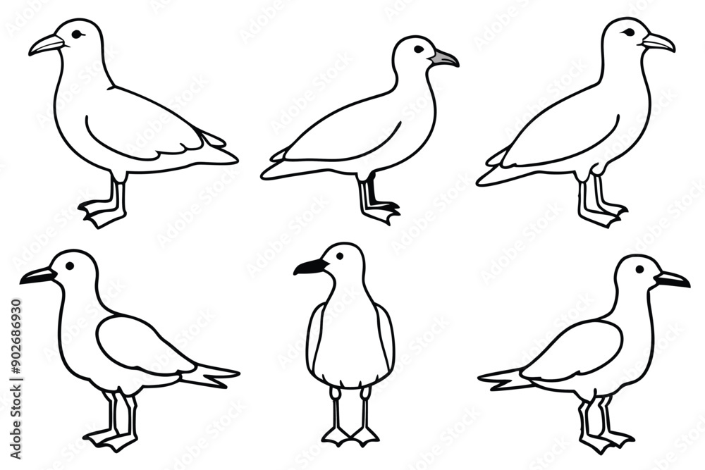 Obraz premium Seagull line art illustration Design Concepts